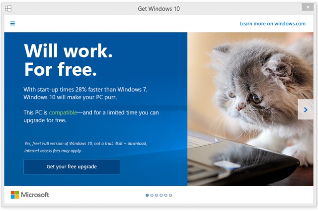 Microsoft enlists cats help you upgrading to Windows 10