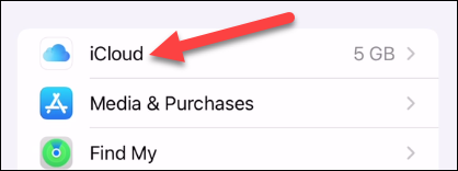 Select "iCloud."