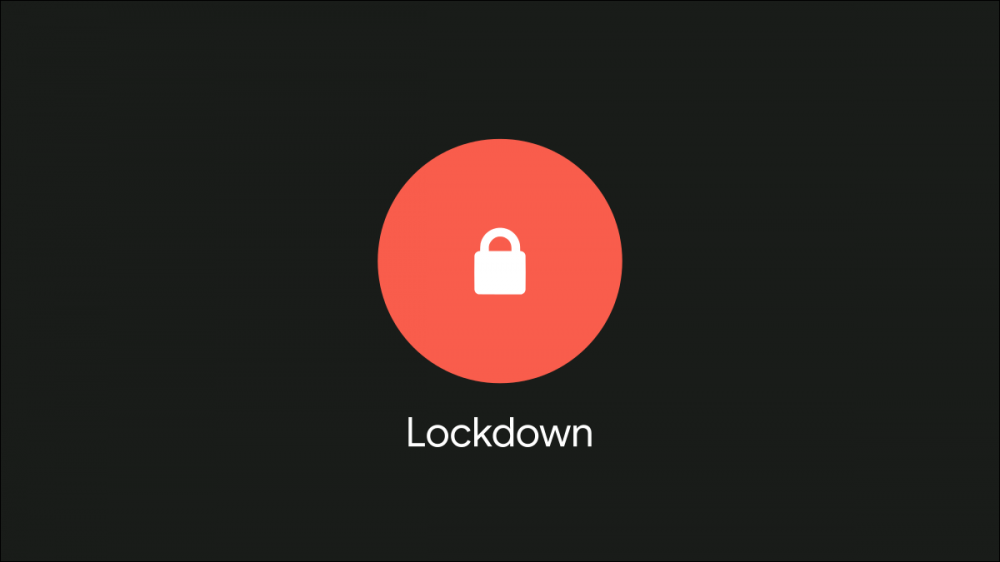 Android Lockdown button.