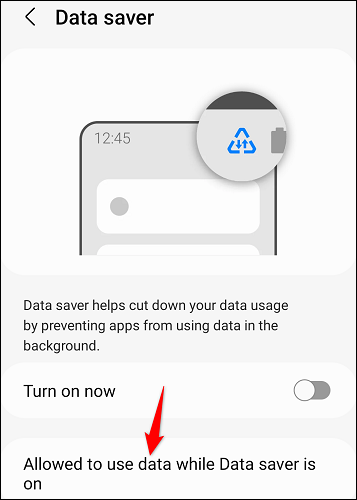 Select "Allowed to Use Data While Data Saver is On."