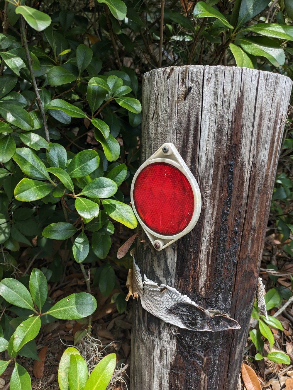 A reflector nailed to a wooden post.